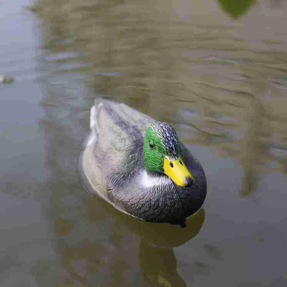 Floating Duck Decoy Simulation - Decoy Duck Plastic ulasan dan harga