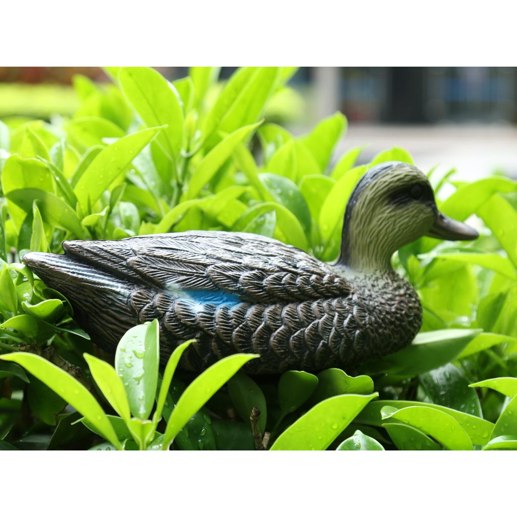 Mandarin Duck Ornaments Realis - Decoy Duck Plastic ulasan dan harga