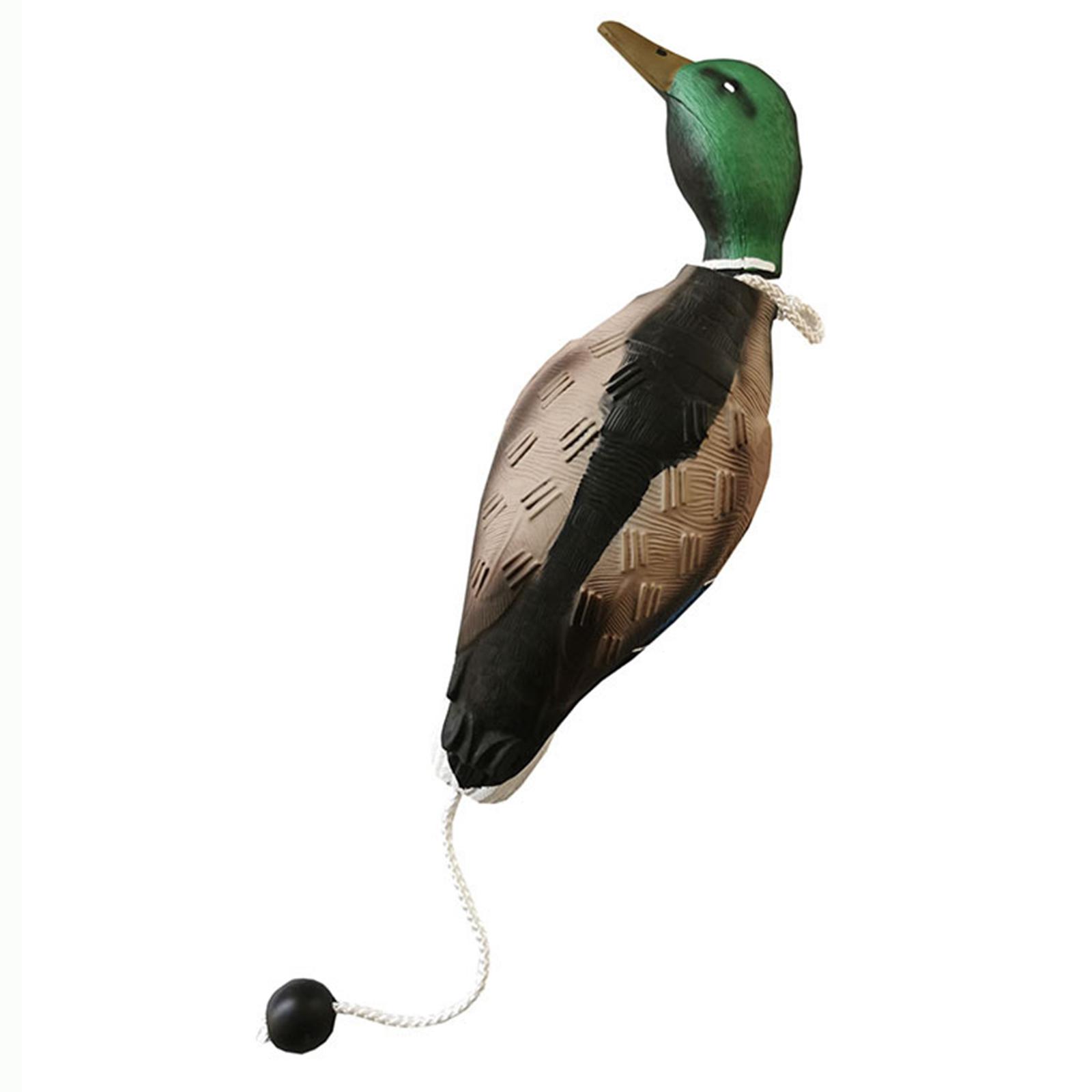 Mallard Duck Decoy Simulation  - Decoy Duck Plastic ulasan dan harga