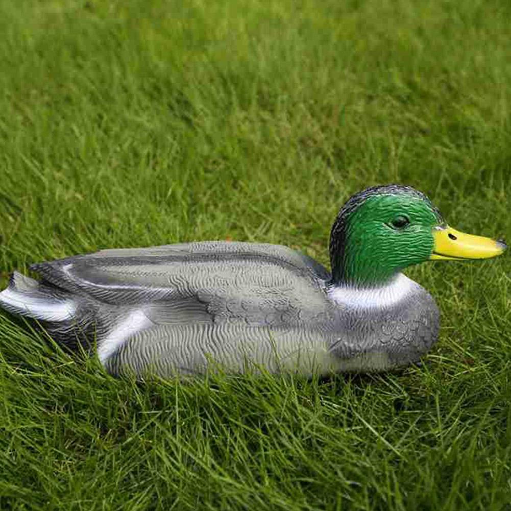 Outdoor Realistic Plastic Duck - Decoy Duck Plastic ulasan dan harga