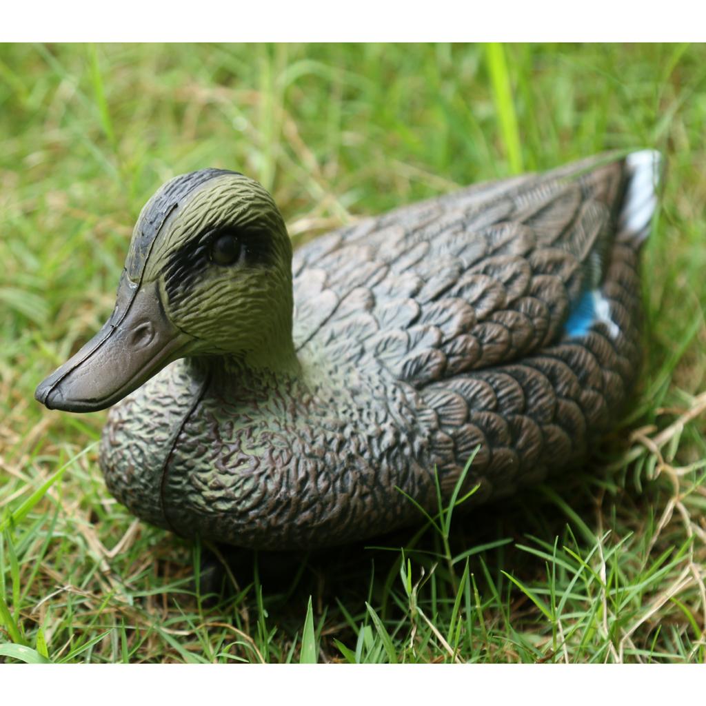 Fake Bird Hunting Decoy Lifeli - Decoy Duck Plastic ulasan dan harga