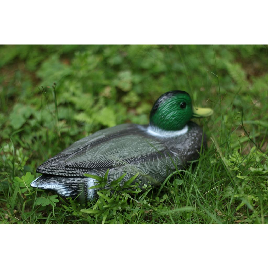 Lifelike Plastic Duck Decoy Ga - Decoy Duck Plastic ulasan dan harga