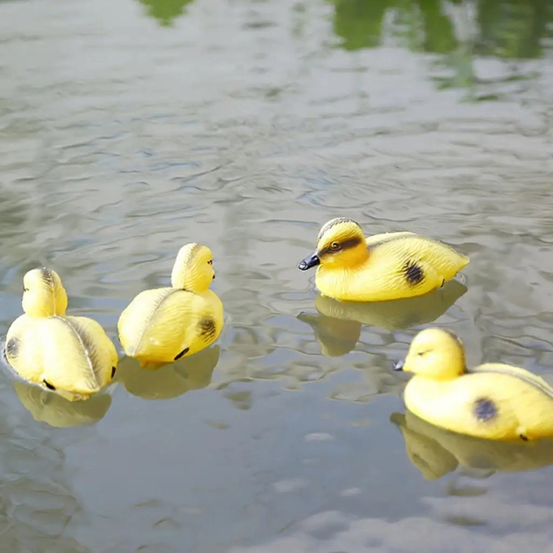Floating Duck Ducklings Pond S - Decoy Duck Plastic ulasan dan harga